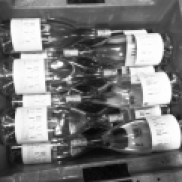 MAS DES CAPRICES 2016 , Bottled "Blanc de l'oeuf" vintage 2015